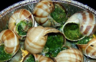Resep Bekicot Gaya Perancis